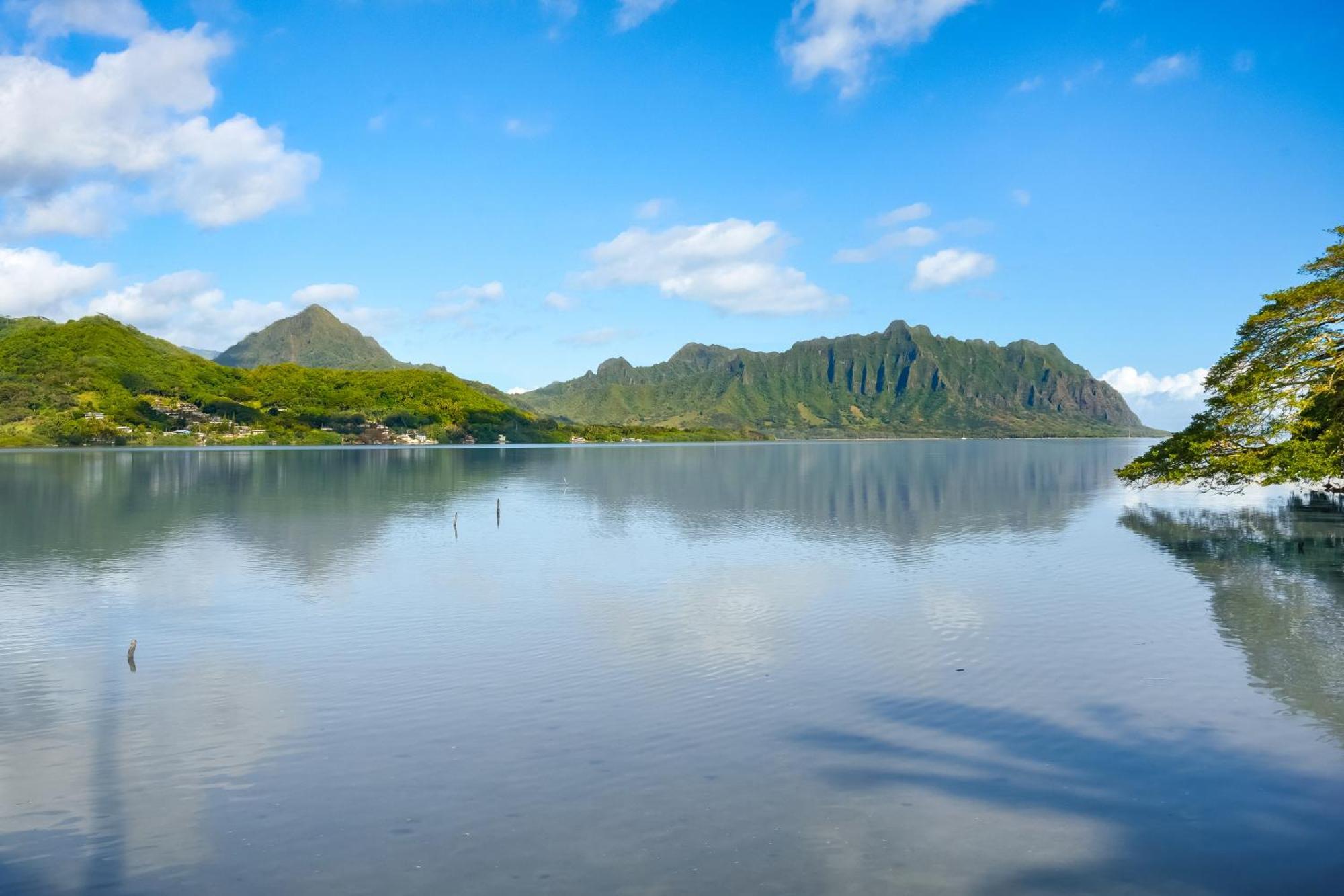 Paradise Bay Resort Kaneohe Buitenkant foto
